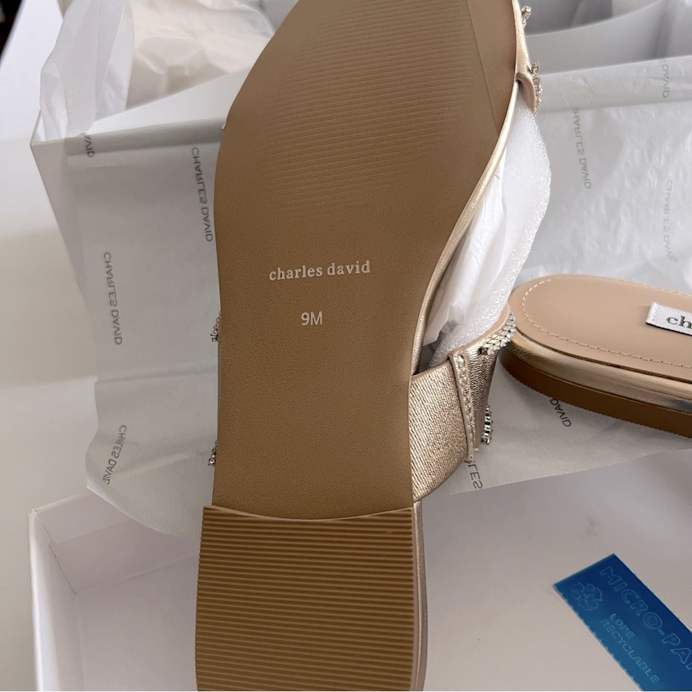 CHARLES DAVID KENYA EMBELLISHED METALLIC LEATHER FLAT SANDALS SIZE 9 NEW IN BOX - Picture 6 of 12